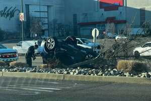 Speeding Car Flips, Hits Tree At Mall In Hudson Valley, Police Say (UPDATE)