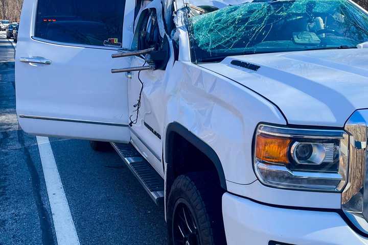 Tree Falls, Hits Car On Taconic State Parkway In Hudson Valley