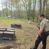 <p>Rock Hill Honey Bee Farms</p>
