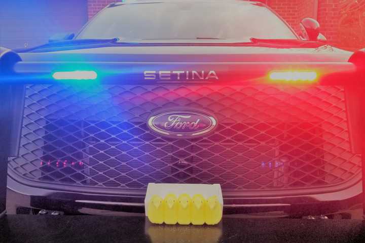 Shot In Head, Stabbed Multiple Times Inside Philly Apartment; Roommate Arrested: Police