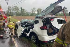 Tree Falls On Car, Trapping Driver: Quakertown Fire Company