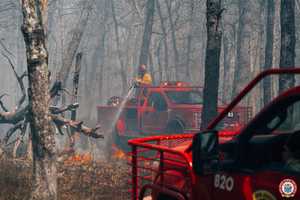 100-Acre Wildfire Burns Along Route 46 In Hackettstown (DEVELOPING)