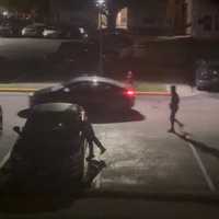 Nearly 50 Cars Broken Into In One Night During Laurel Crime Spree, Police Say