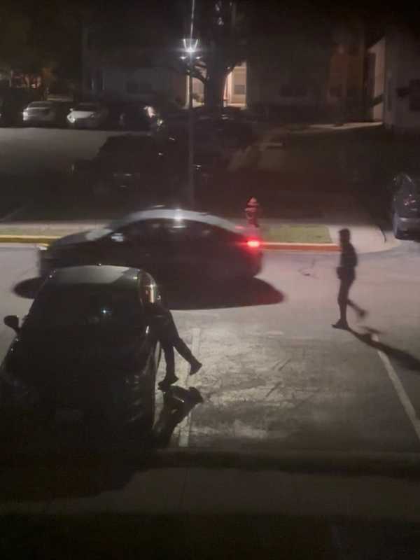 Nearly 50 Cars Broken Into In One Night During Maryland Crime Spree, Police Say