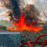 100-Acre Route 46 Wildfire Contained: NJ Forest Fire Service Shares Final Update