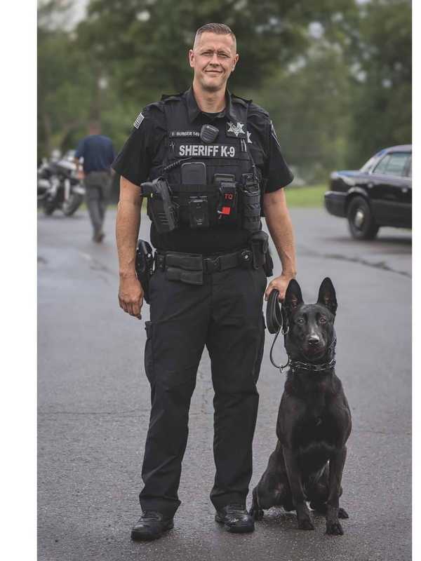 K-9 Hero: Missing Autistic Boy Found Safe In Orange County After Early-Morning Search