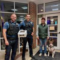 Dog Rescued After Near Drowning In Pool: Robbinsville Police