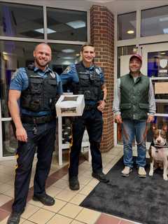 Dog Rescued After Near Drowning In Pool: Robbinsville Police