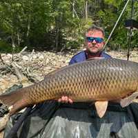 Holy CARP! Baby Hippo-Sized Fish Sets Record At CT Lake