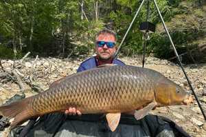 Holy CARP! Baby Hippo-Sized Fish Sets Record At CT Lake