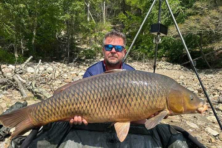 Holy CARP! Baby Hippo-Sized Fish Sets Record At CT Lake