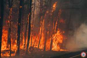 100-Acre Wildfire In Wharton State Forest Spotted By Private Aircraft, Officials Say