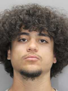 Man Shot, Killed Over Tesla Kick In Herndon, McLean Teen Charged: Report