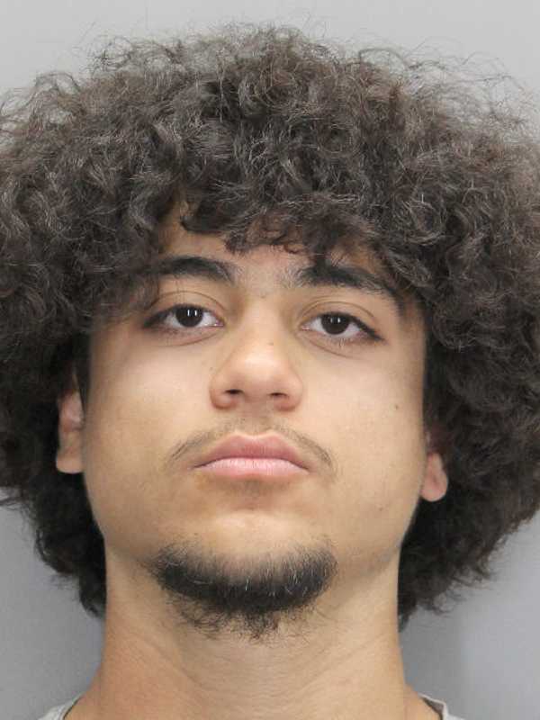 Man Shot, Killed Over Tesla Kick In Herndon, McLean Teen Charged: Report