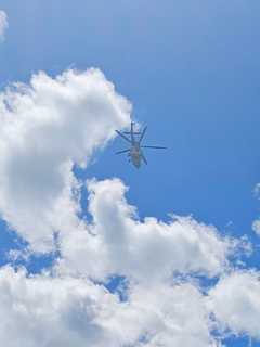 Multiple Canoes Overturn In Delaware River: Knowlton Twp Fire