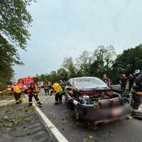 Tree Falls On Cars On Route 9 In Croton-On-Hudson, Injures 2