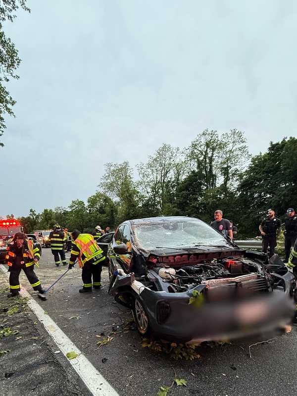 Tree Falls On Cars On Route 9 In Croton-On-Hudson, Injures 2