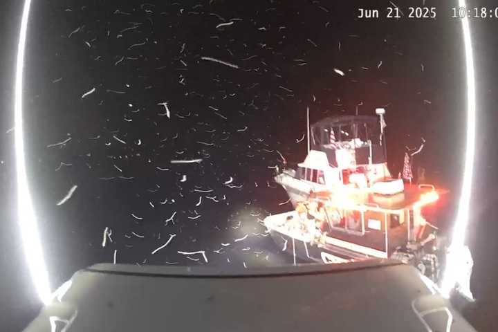 25 People Rescued After Boat Runs Aground Near Eustasia Island