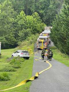 Heroic Neighbor Saves Dogs, Slows House Fire In Maryland Before Crews Arrive