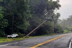 Crashes, Downed Tree Shut Down Route 304, Route 9W In Clarkstown, Police Say
