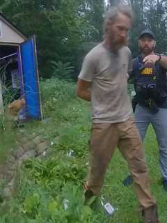 Dogs Found In Feces-Filled Camper; 50 Animal Cruelty Counts For PA Man, Sheriff Says