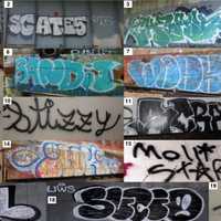 21 People Arrested After Graffiti Causes $500K Damage: Hanover Twp PD