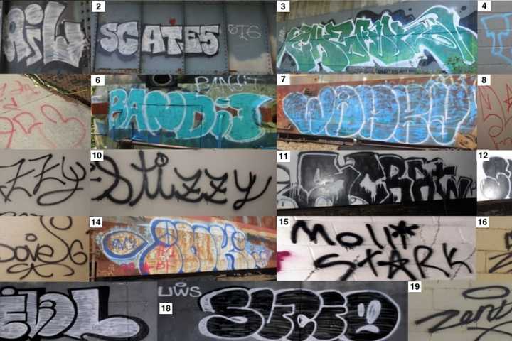 21 People Arrested After Graffiti Causes $500K Damage: Hanover Twp PD