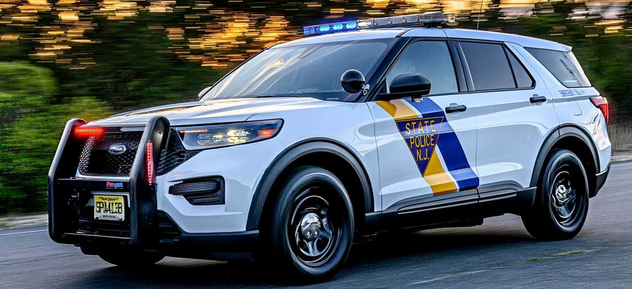 New Jersey State Police (NJSP)
  
 New Jersey State Police (NJSP)