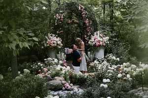 Create Taylor Swift, Travis Kelce's Garden Proposal On A Budget: Here's How Much