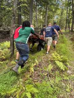 Logger Rescued After Being Struck By Tree In Pawling Woods