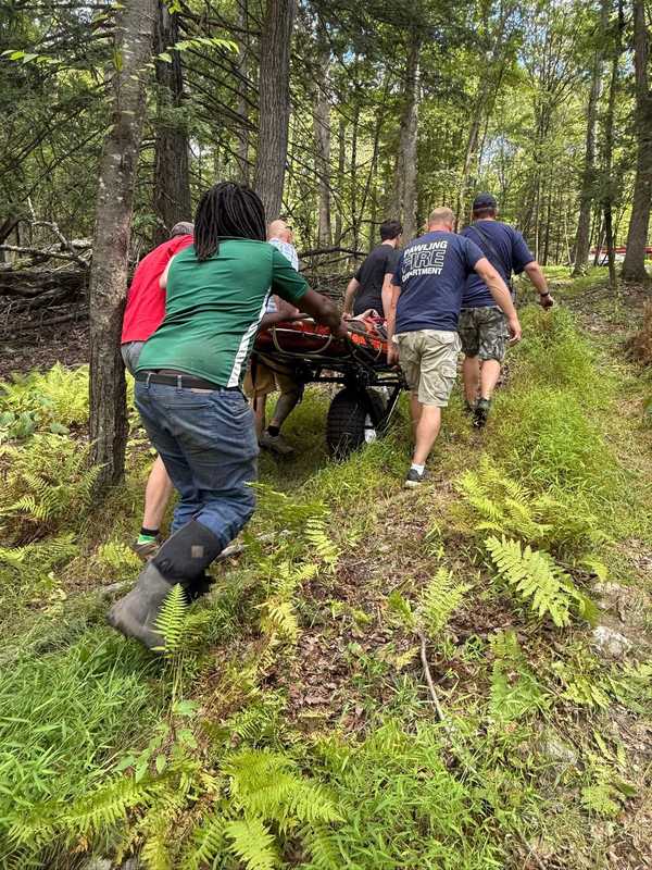 Logger Rescued After Being Struck By Tree In Pawling Woods
