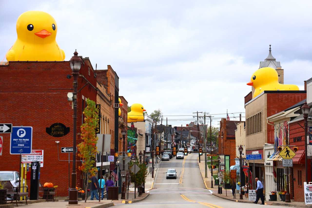 The ducks lining downtown Canonsburg. The ducks lining downtown Canonsburg.