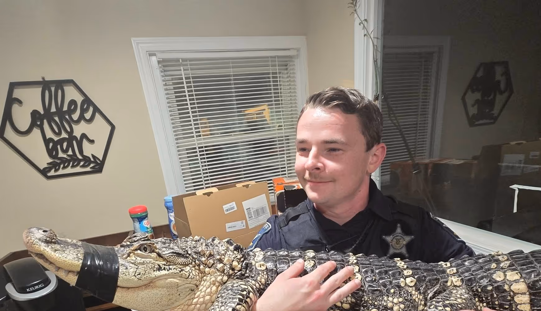 The alligator was rescued by members of the Harford County Sheriff's Office.
  
 
The alligator was rescued by members of the Harford County Sheriff's Office.