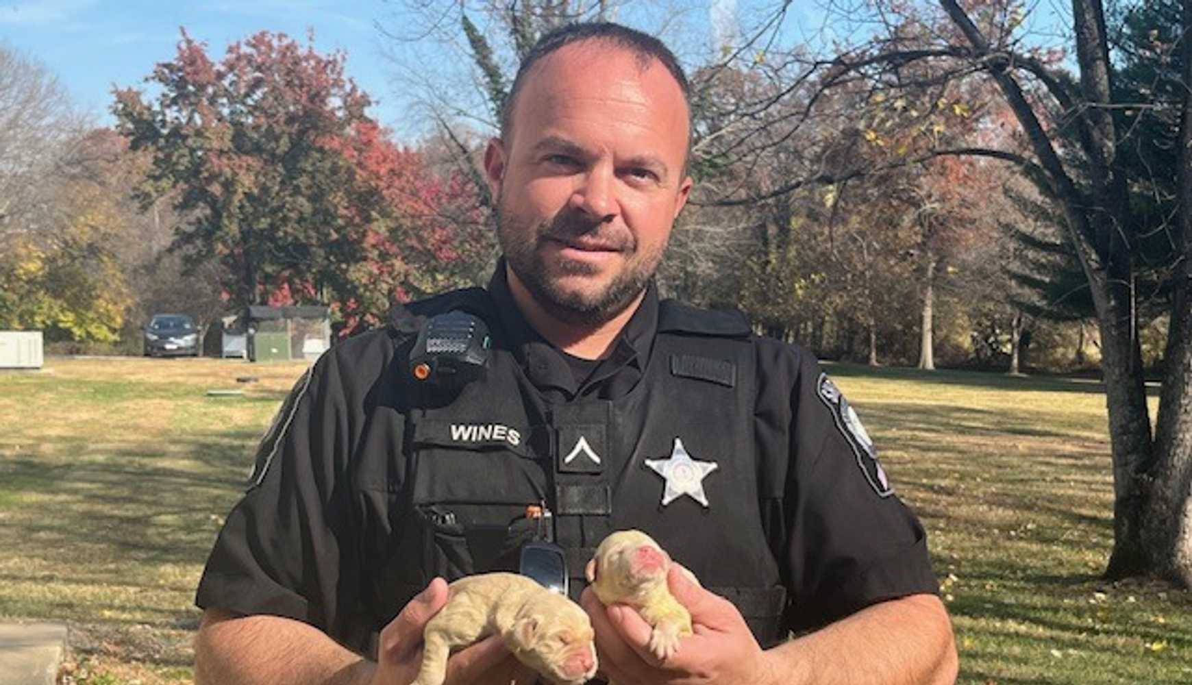 
The puppies found in Fauquier County.
