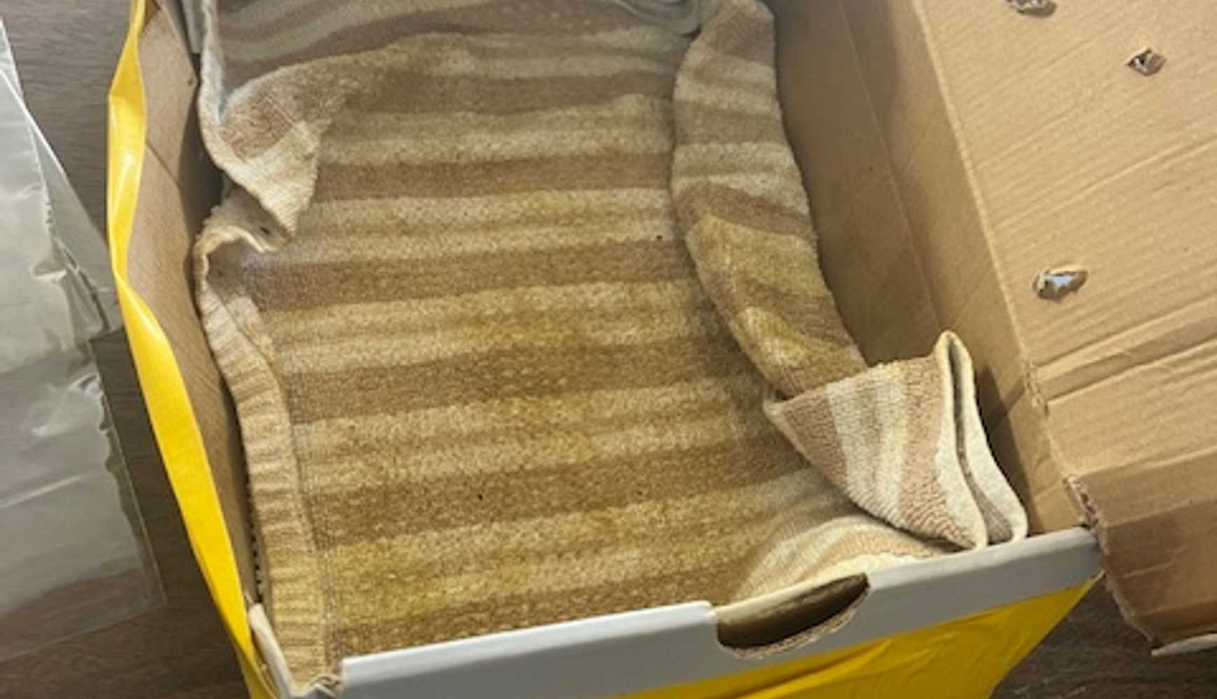 
The puppies found in Fauquier County.
  

