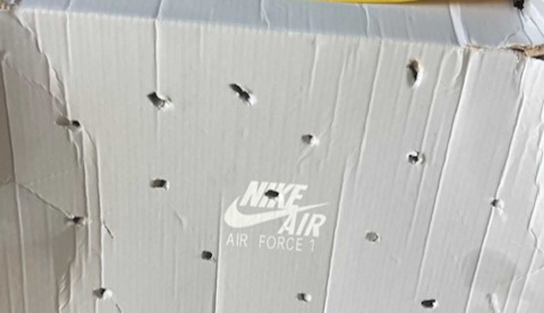 
The puppies found in Fauquier County.
