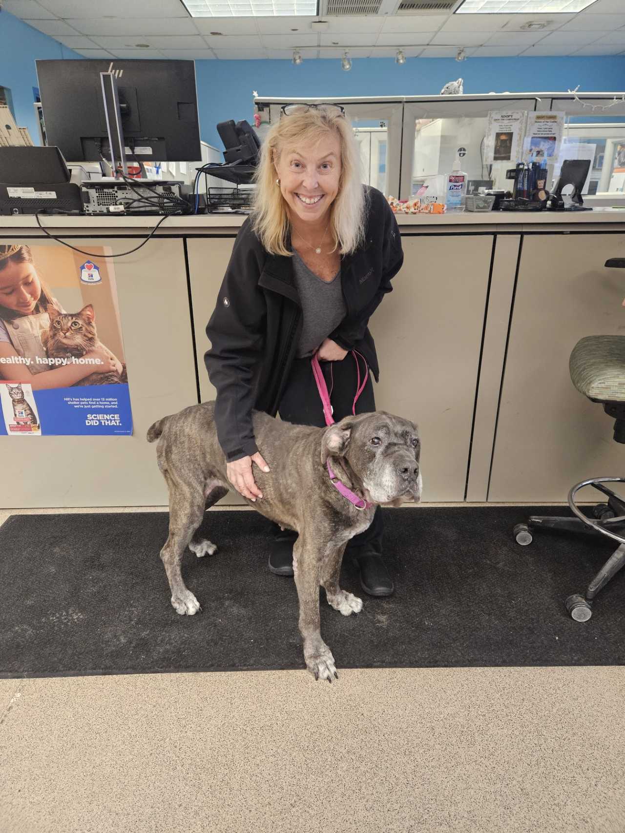 Ingrid Santucci brings Piper home from the Bergen County Animal Shelter in Teterboro Wednesday, Nov. 26. Ingrid Santucci brings Piper home from the Bergen County Animal Shelter in Teterboro Wednesday, Nov. 26.