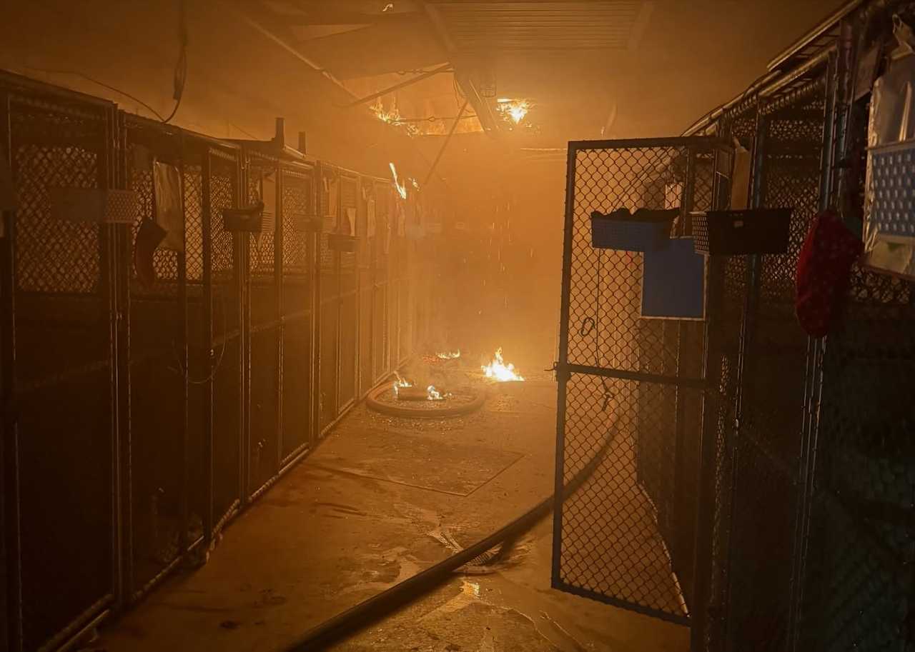 The scene of the fire at Northwind Kennel in Bedford. The scene of the fire at Northwind Kennel in Bedford. 