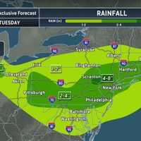 <p>Locations in the darkest shade of green could see 4 to 8 inches of rainfall through Tuesday, July 7.</p>