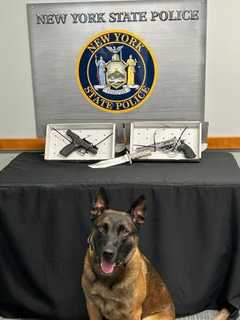 Loaded Gun, 19-Round Magazine Found During LIE Traffic Stop In Nassau County