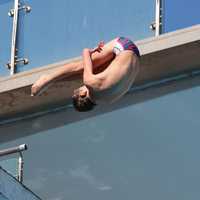 <p>Arthur (AJ) Palladino in action.</p>