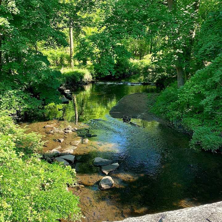 Blind Brook in Westchester. 