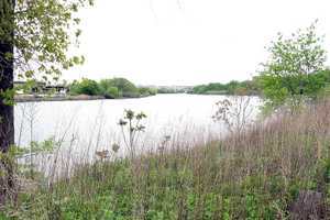 'Oily Sheen' On Bronx River May Be Result Of Yonkers Leak, Officials Warn