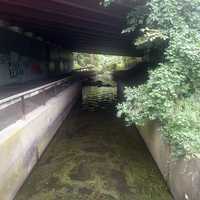 White Liquid Found In Hutchinson River: EPA Cracks Down on Cement Plant Pollution