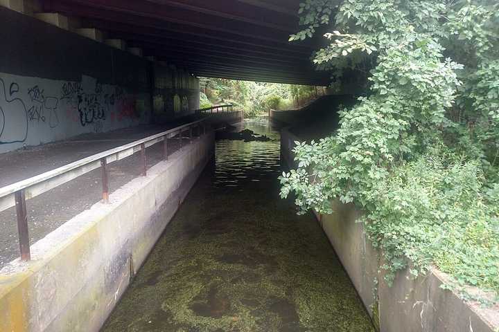 White Liquid Found In Hutchinson River: EPA Cracks Down on Cement Plant Pollution