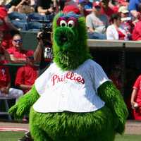 <p>Philly Phanatic</p>