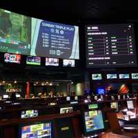 US Sports Gambling Revenue Hits Record $13.7B, NY Remains Nation's Top Market