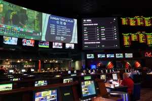 MD Sports Gambling Revenue Soars As US Hits Record $13.7B In 2024