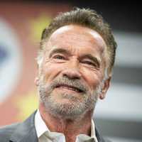 Netflix Axes Schwarzenegger Action Comedy After 2nd Season