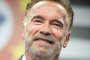 Netflix Axes Schwarzenegger Action Comedy After 2nd Season
